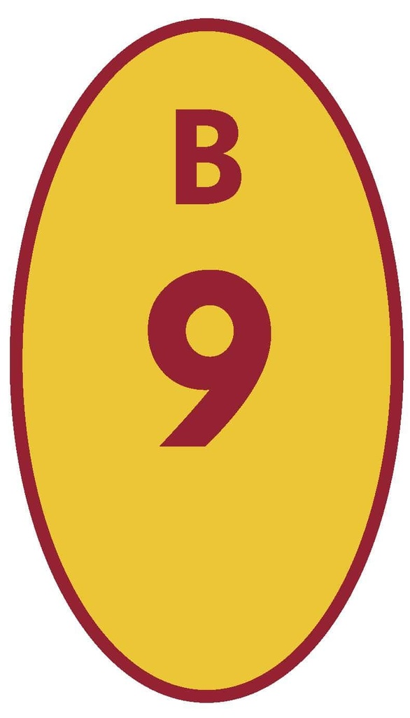 BICICLETERO 09