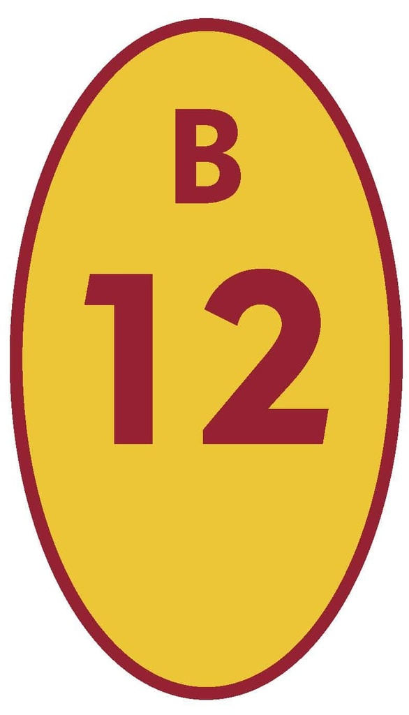BICICLETERO 12