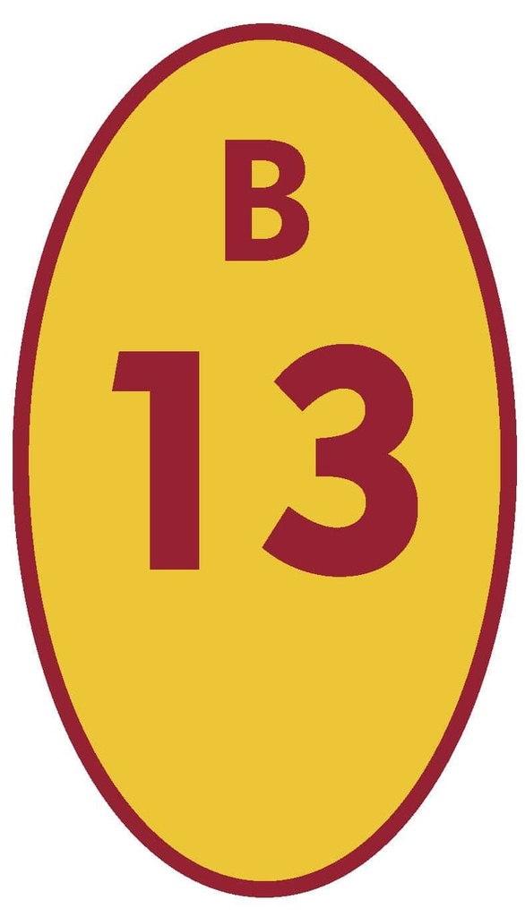 BICICLETERO 13