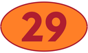 TRASTERO R29