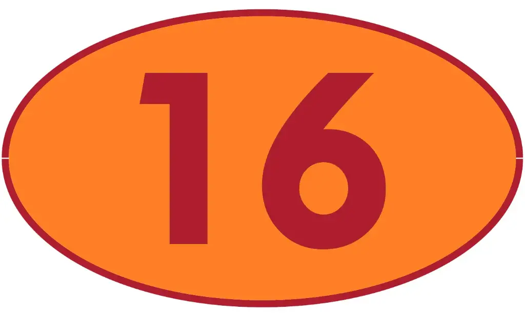 TRASTERO R16