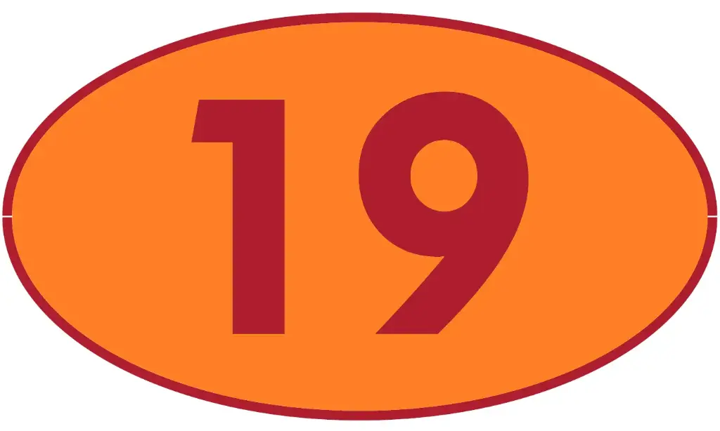 TRASTERO R19