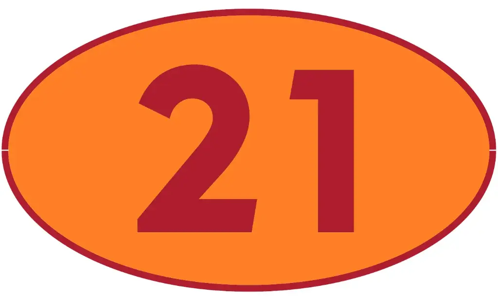 TRASTERO R21