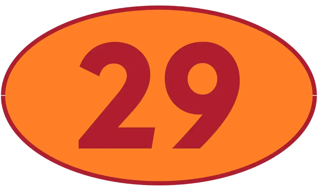 TRASTERO R29