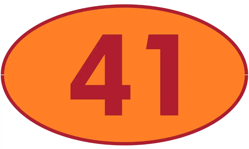 TRASTERO R41