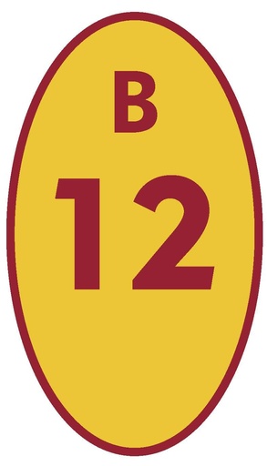 [BCN12] BICICLETERO 12