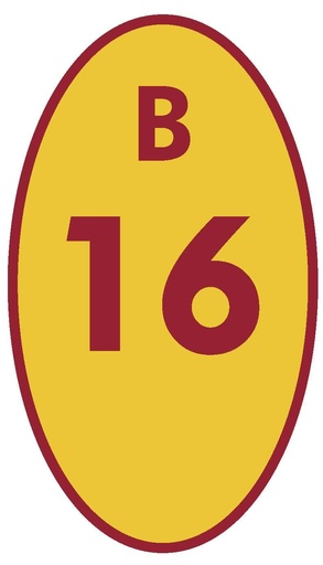 [BCN16] BICICLETERO 16