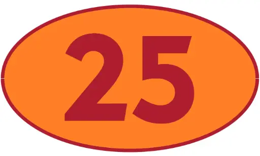 [TRR25] TRASTERO R25