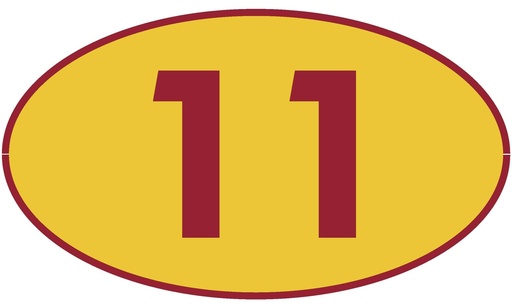 [TRN11] TRASTERO 11