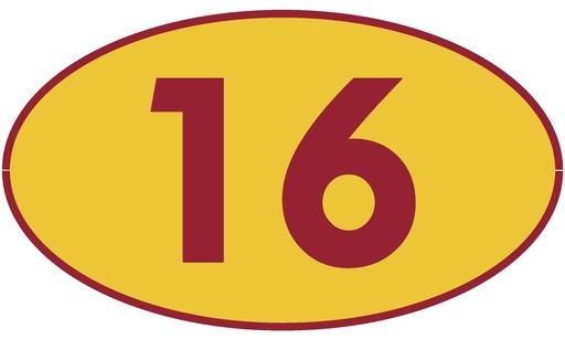 [TRN16] TRASTERO 16