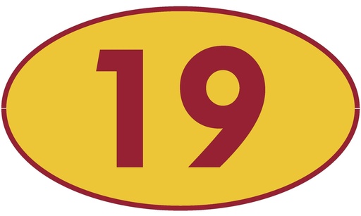 [TRN19] TRASTERO 19