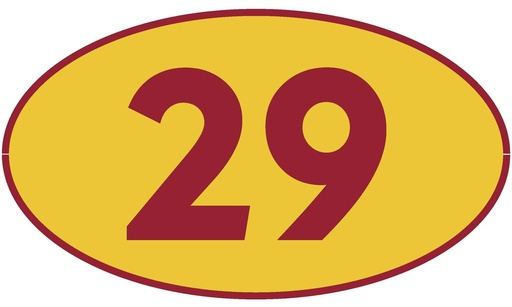[TRN29] TRASTERO 29