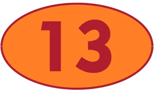 [TRR13] TRASTERO R13