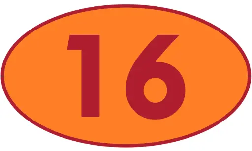 [TRR16] TRASTERO R16