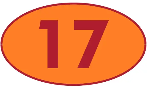 [TRR17] TRASTERO R17