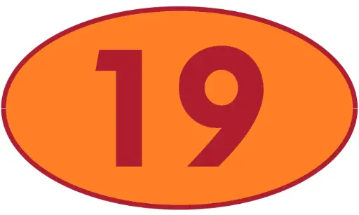 [TRR19] TRASTERO R19