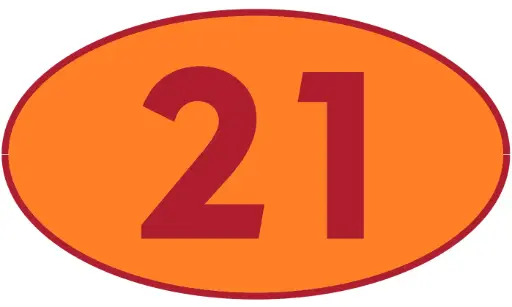 [TRR21] TRASTERO R21