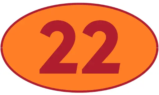 [TRR22] TRASTERO R22