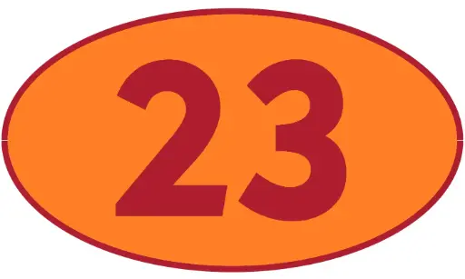 [TRR23] TRASTERO R23