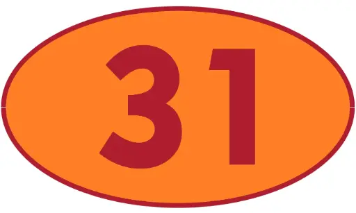 [TRR31] TRASTERO R31