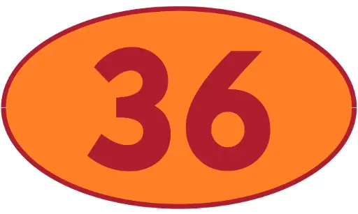 [TRR36] TRASTERO R36