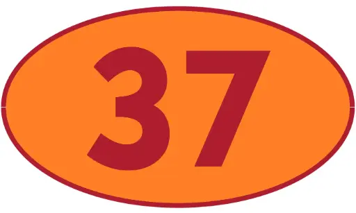 [TRR37] TRASTERO R37