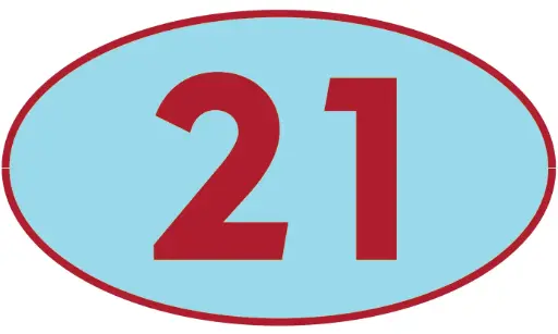 [TRT21] TRASTERO T21