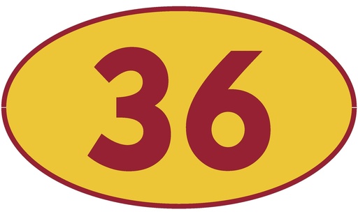 [TRN36] TRASTERO 36