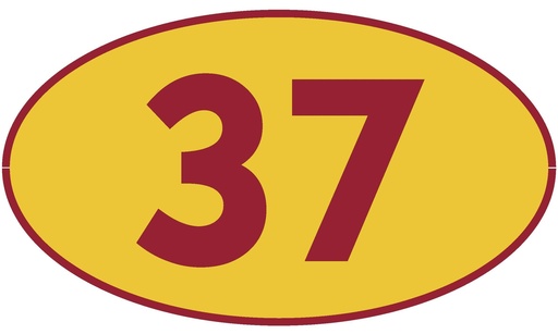[TRN37] TRASTERO 37
