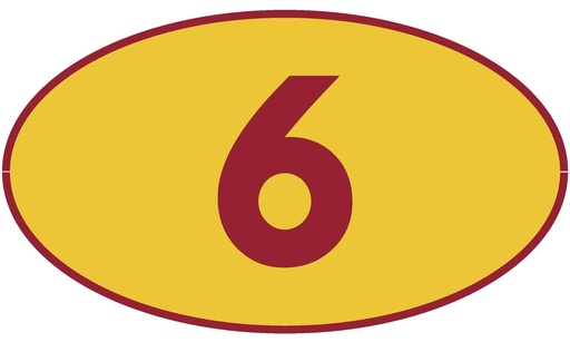 [TRN6] TRASTERO 06